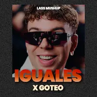 IGUALES X Goteo - Lass MashUp